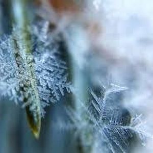 Meet your Posher, Stephania